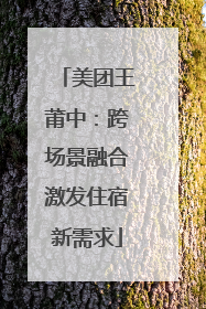 美团王莆中：跨场景融合激发住宿新需求